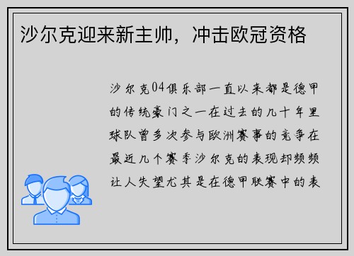 沙尔克迎来新主帅，冲击欧冠资格