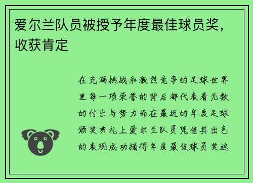 爱尔兰队员被授予年度最佳球员奖，收获肯定