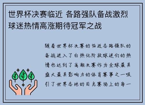世界杯决赛临近 各路强队备战激烈 球迷热情高涨期待冠军之战